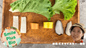 時代に左右されない食の選択講座